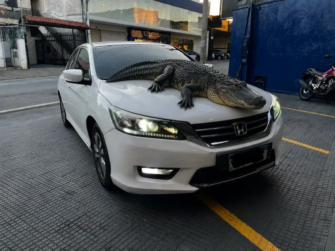 Honda Accord Sedan EX 2.4/2.3/ 2.2 16V 2014