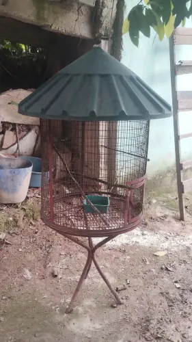 VIVEIROS BARATO PRA DESOCUPAR ESPAÇO.