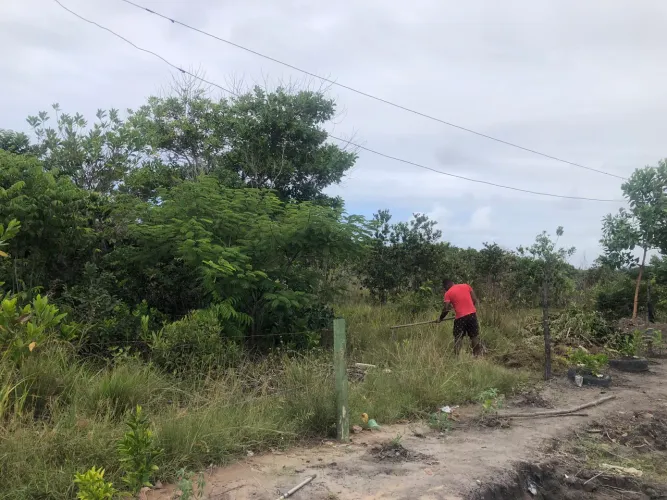 Terreno 