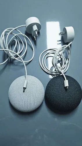 Google Nest Mini 
