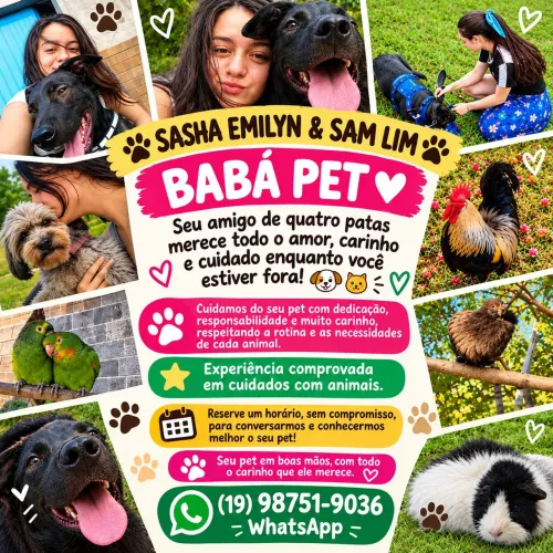 BABÁ PET