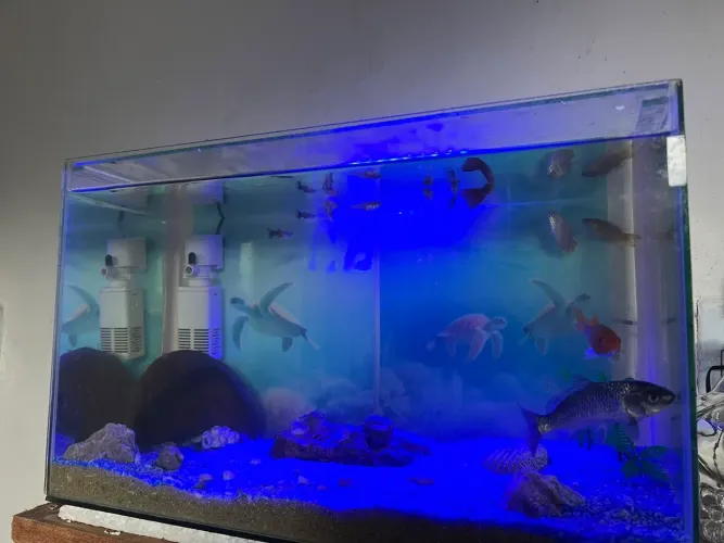 Aquário com bomba e decoraçoes de 40/50 Lt