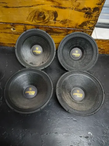 Falante de 15 polegadas seco , R$ 200,00 cada .