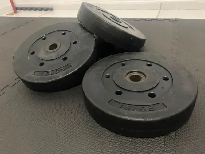 Anilha Injetada 6,5kg Academia Casa Musculação