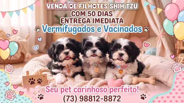 Shithzu