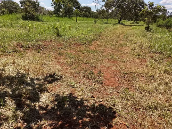 Oportunidade. Vendo ou troco lote em carro.