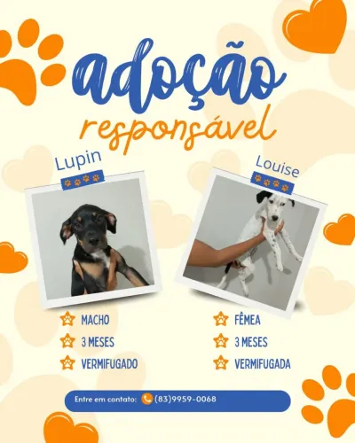 Adote com responsabilidade!