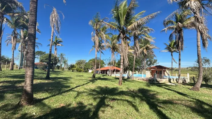3 alqueires a 2,5km de Bauru