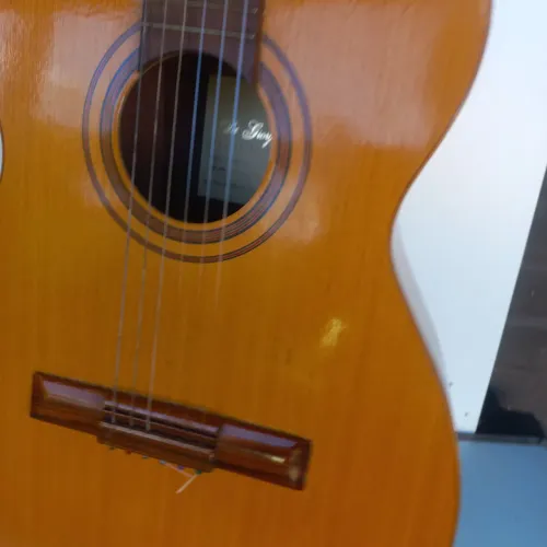 Vendo Violão DiGiorgio estudantil