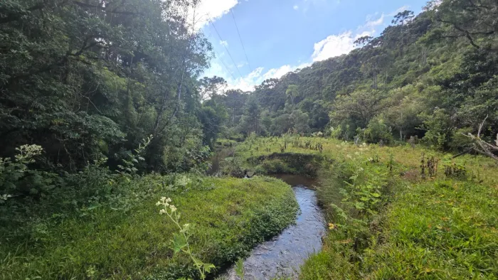 TERRENO RURAL em Campo Alegre - SC, Laranjeiras
