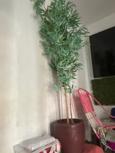 Vendo vaso de planta 