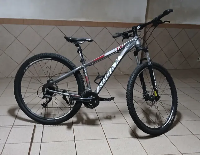 Bicicleta AUDAX 100