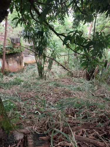 Lote a venda na balança 