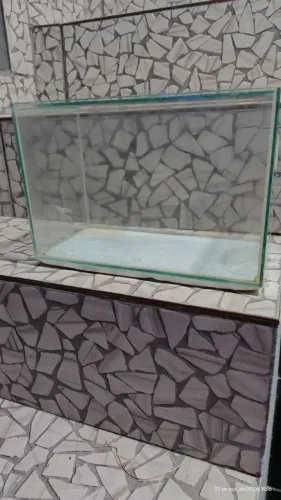 Aquário de Vidro 9 Litros Retangular (30x15x20 cm) -