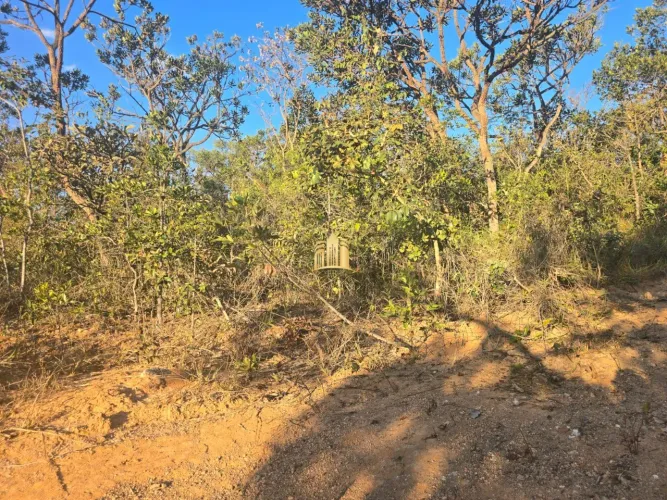 TERRENO À VENDA CONDOMÍNIO VISTA ALEGRE ANDIROBA ESMERALDAS/MG