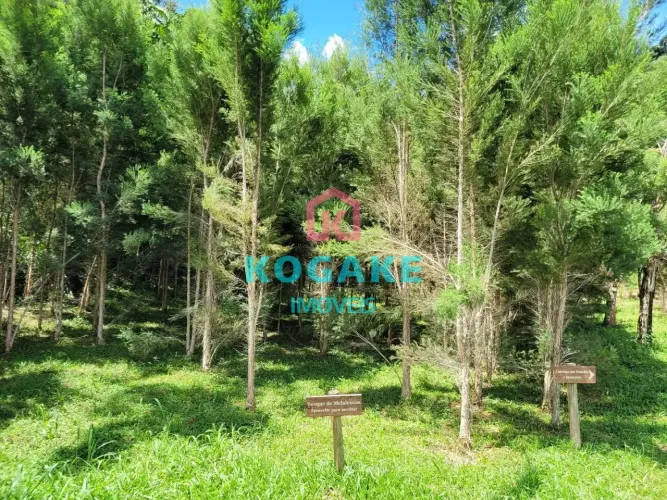 Sítio à venda, 95000 m² por R$ 1.500.000,00 - Zona Rural - Monteiro Lobato/SP