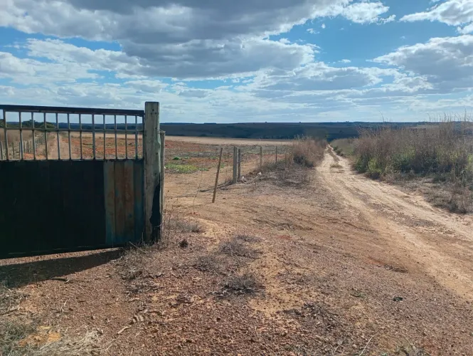 Fazenda de 42,7 Hectares Altamente Produtiva com 3 Safras por Ano"