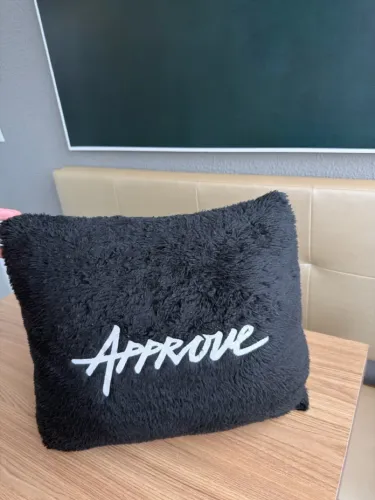 ALMOFADA APPROVE