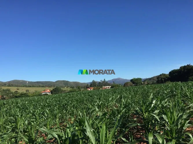 FAZENDA À VENDA - 344 HECTARES - COUTO MAGALHÃES DE MINAS (MG)