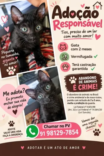Adoção responsável