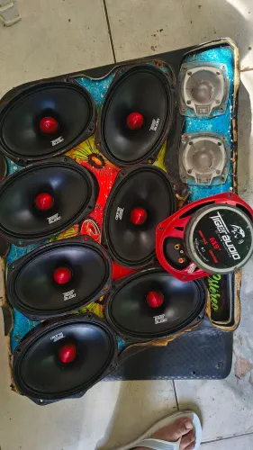 69 Tiger 300 rms e twitter jbl