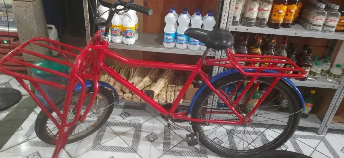 Bicicleta