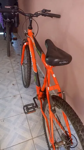 Bicicleta adulto