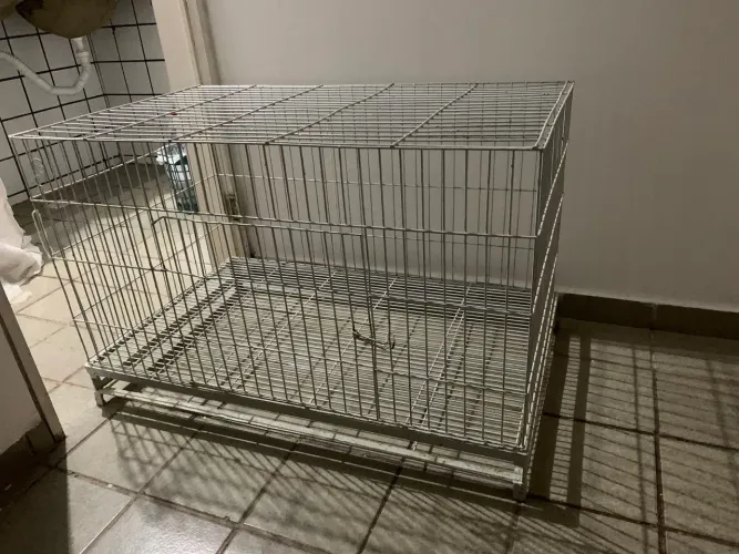 Gaiola/viveiro para animais