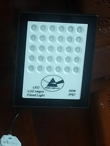 Luz Neon / Luz Negra