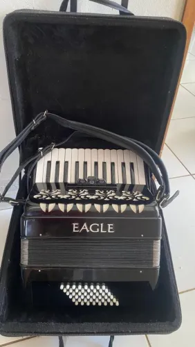 Sanfona Eagle Preta 48 Baixos - Bem Conservada