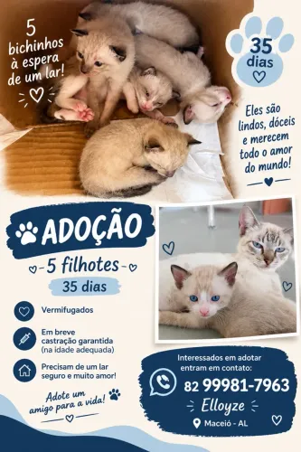 Adoção Responsável