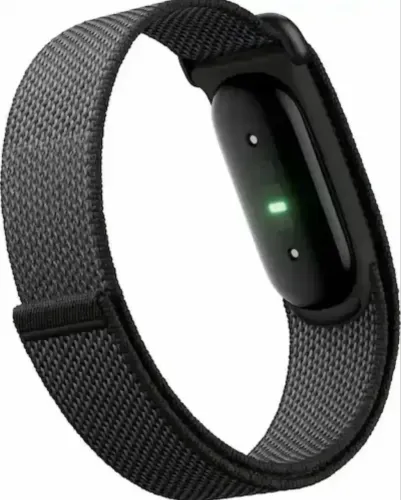 Google Fitbit air