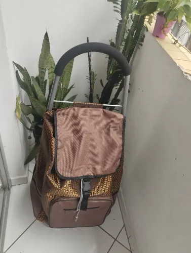 Carrinho de compras /feira 