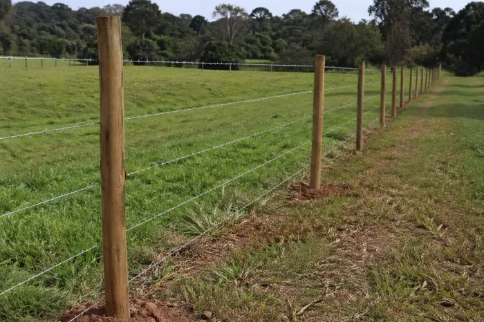 Cerca de arame farpado com eucalipto tratado entrego instalado