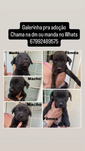 Doação