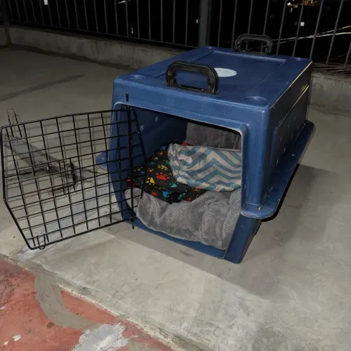 Casinha de transporte 2 em 1
