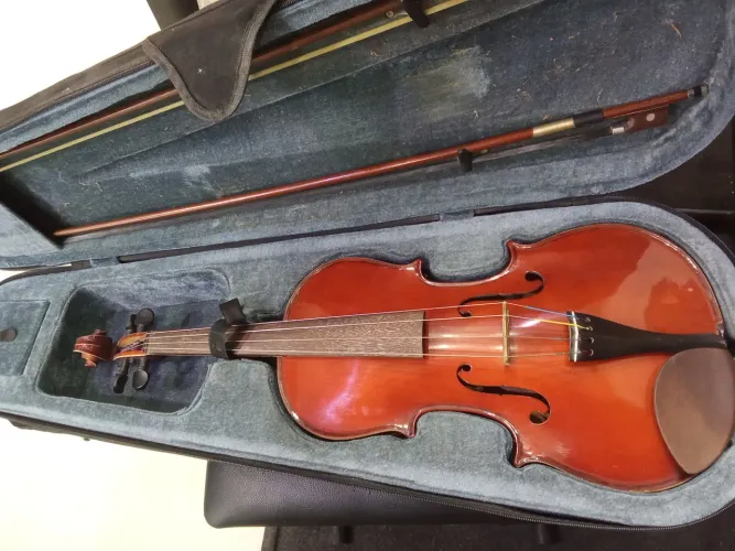 Viola de arco profissional