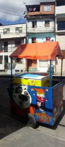 Uma burrinha