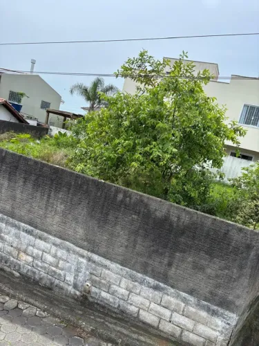Terreno no Bairro Ribeirão da Ilha com frente para a Rodovia