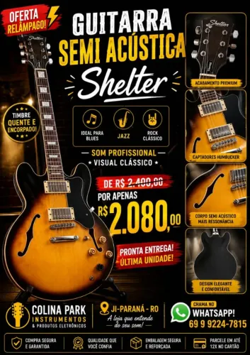 Guitarra Shelter