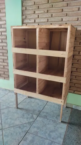 Botadeira galinha 6 ninhos