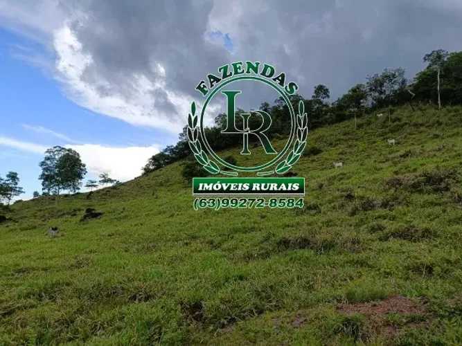 Fazenda de 147 Alqueires Dupla Aptidão