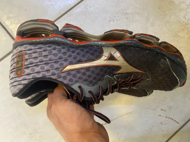 Mizuno prophecy 4