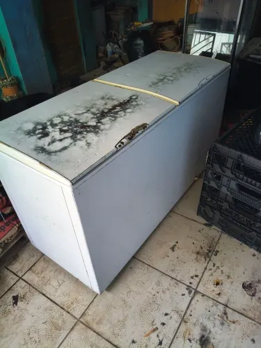 Freezer dupla ação