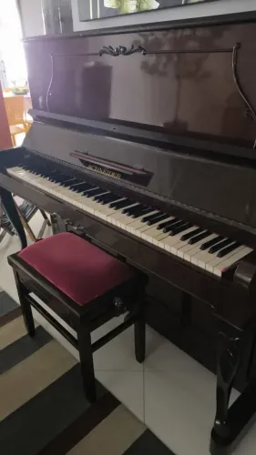 Piano Schneider