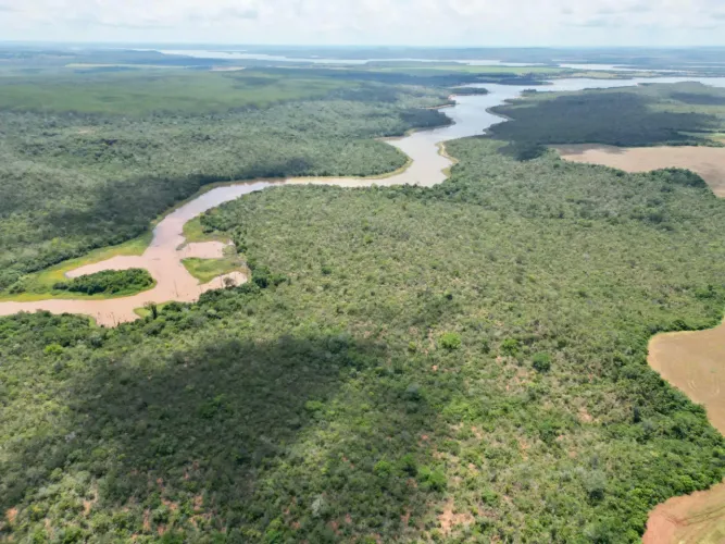 Excelente Área. Com:193 Hectares, município de Darcinópolis - TO
