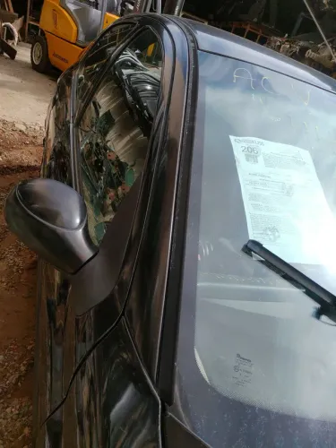 Friso do teto Peugeot 206 207