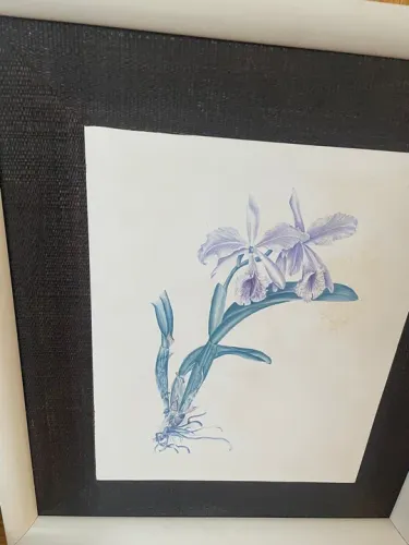 Quadro com Flor de Orquídea