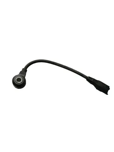 Sensor Detonação Citroen C4 Pallas *0 N582