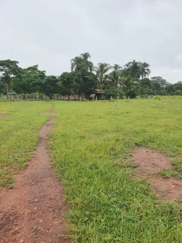 Fazenda 325 hect em planalto da serra MT. 5 milhões.